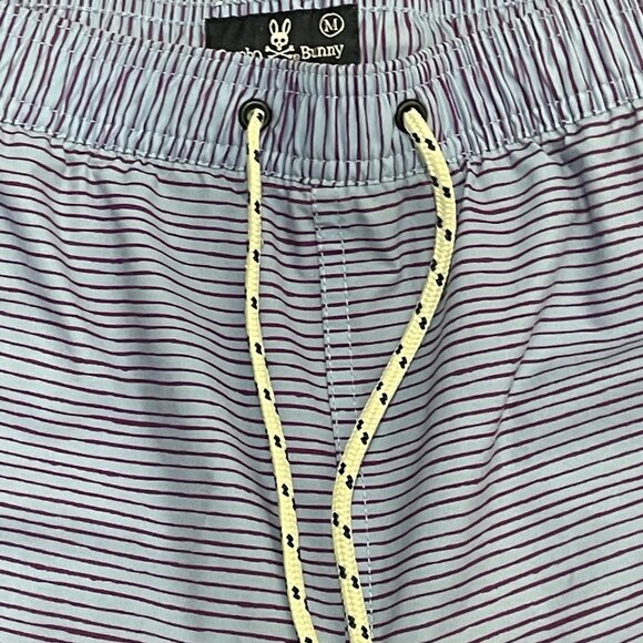 Psycho Bunny Mens Lucas Swim Shorts Blue Purple Stripe Sz M Unlined 6" Inseam - Picture 3 of 8